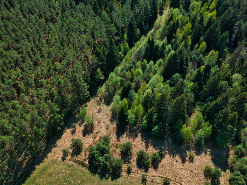 high angle shot of a beautiful green landscape with trees in the minsk region of belarus