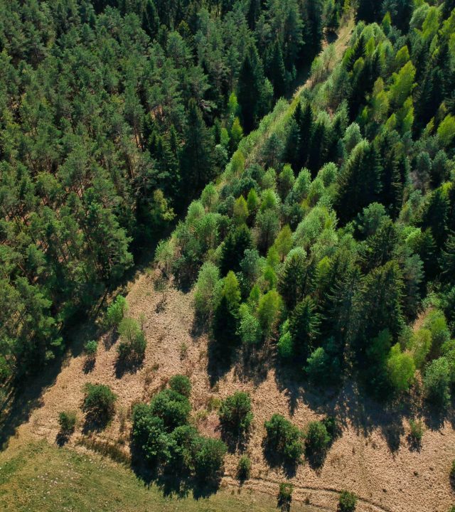 high angle shot of a beautiful green landscape with trees in the minsk region of belarus